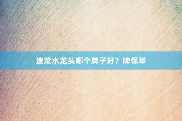 速滚水龙头哪个牌子好？牌保举