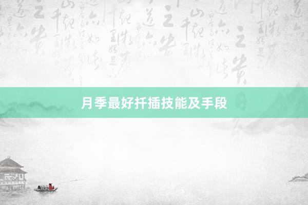 月季最好扦插技能及手段